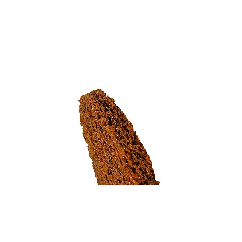 Olbrich-Industriebedarf Cleaning Disc 100 x 13 mm Pack of 10