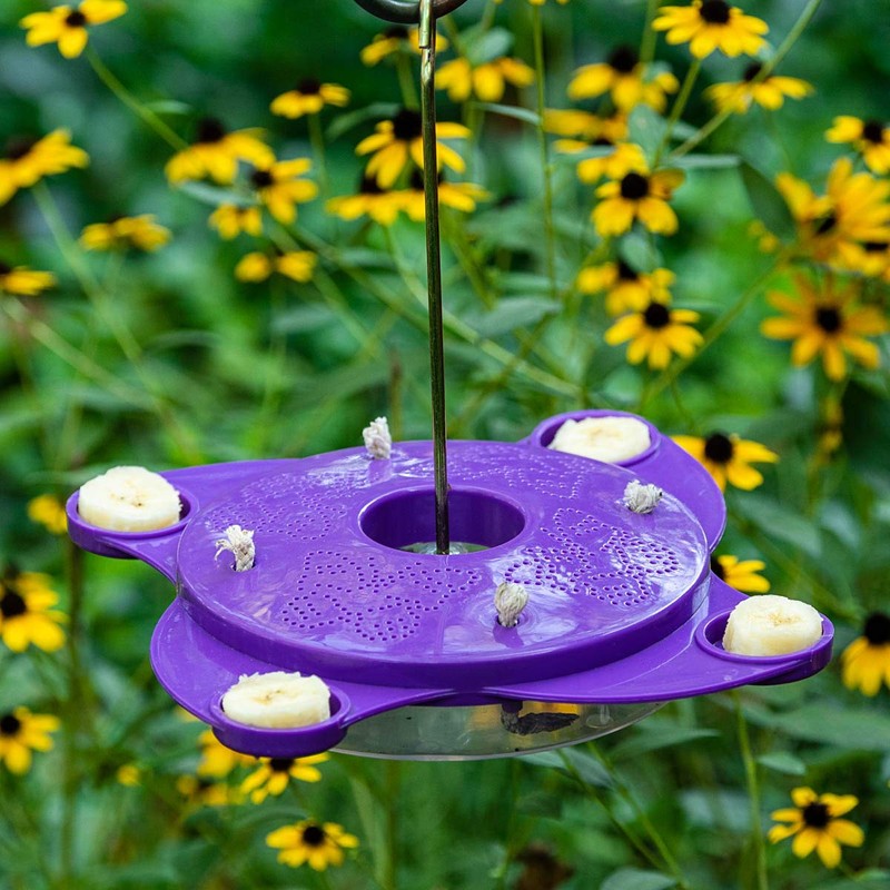 BRECK'S Purple Butterfly Feeder - Create a haven for butterflies