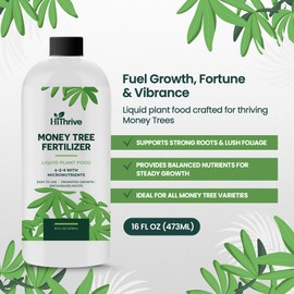 16oz Money Tree Plant Indoor Fertilizer - Makes 96 Gallons of Money Tree Fertilizer - Nutrient-Rich Plant Food with Macro & Micronutrients for Glossy Leaves, Strong Roots, and Lush, Tropical Growth