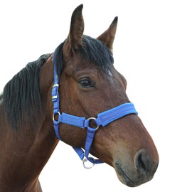 Fleece Horse Halter Adjustable Chin and Throat Snap with Snap (Blue, Large)