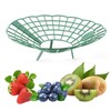 Strawberry Support Stand, Pack of 10 Strawberry Rippers and Fruit