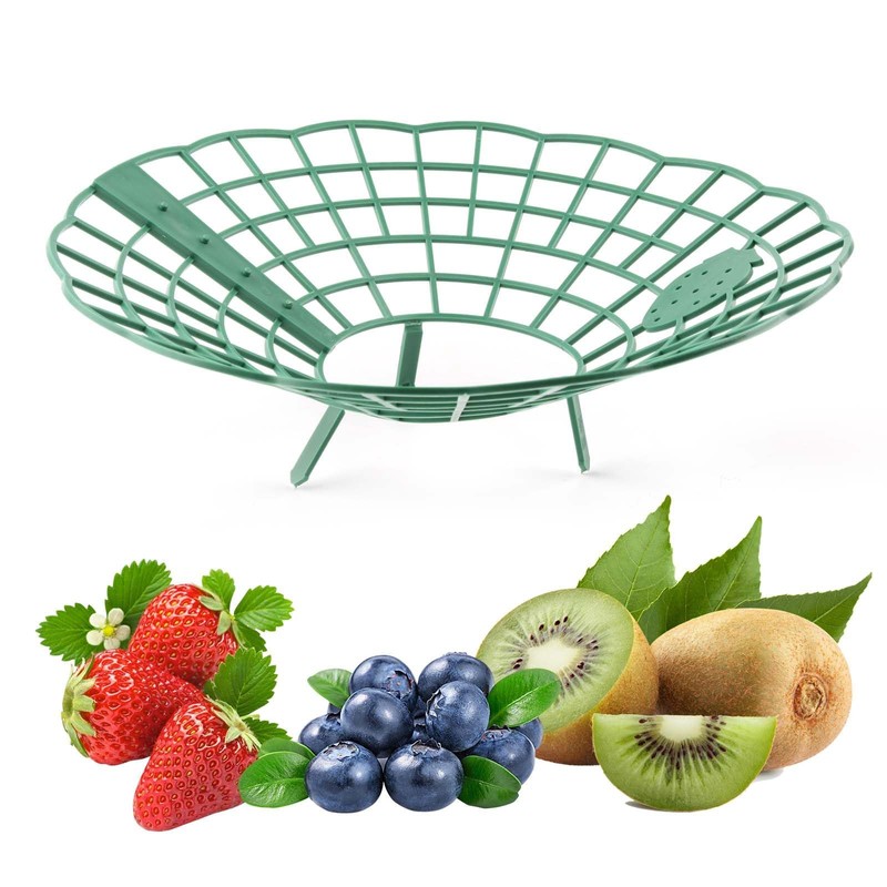 Strawberry Support Stand, Pack of 10 Strawberry Rippers and Fruit
