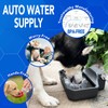 Automatic Water Dispenser for Dogs 1 Gallon, Large Dog Water
