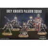 GW57-09 2014 GREY KNIGHTS PALADIN SQUAD