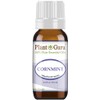 Cornmint Essential Oil 10 ml (Japanese Peppermint) 100% Pure Undiluted