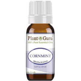 Cornmint Essential Oil 10 ml (Japanese Peppermint) 100% Pure Undiluted Therapeutic Grade.
