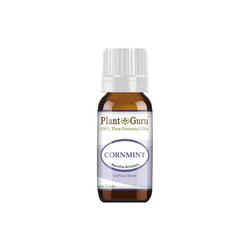 Cornmint Essential Oil 10 ml (Japanese Peppermint) 100% Pure Undiluted