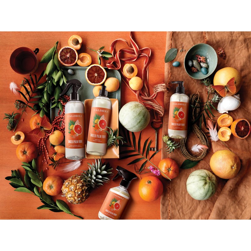 Caldrea Multi-surface CounterTop Spray Cleaner, Made With Vegetable Protein Extract,