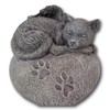 Ebros Heavenly Winged Angel Cat Sleeping On Heart Shaped Stone