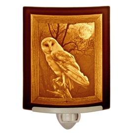 The Porcelain Garden The Owl Night Light, Porcelain Lithophane, Decorative Wall Plug in for Nursery, Bedroom Kitchen, Bath, Hallway; Bird Themed Accent Light