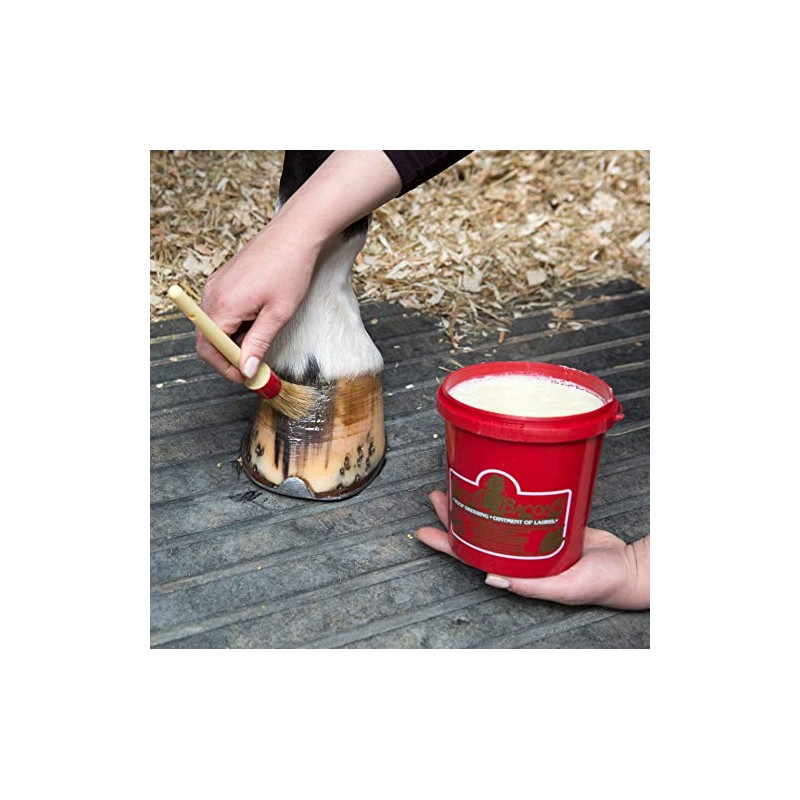 Kevin Bacons Onguent blond 5L