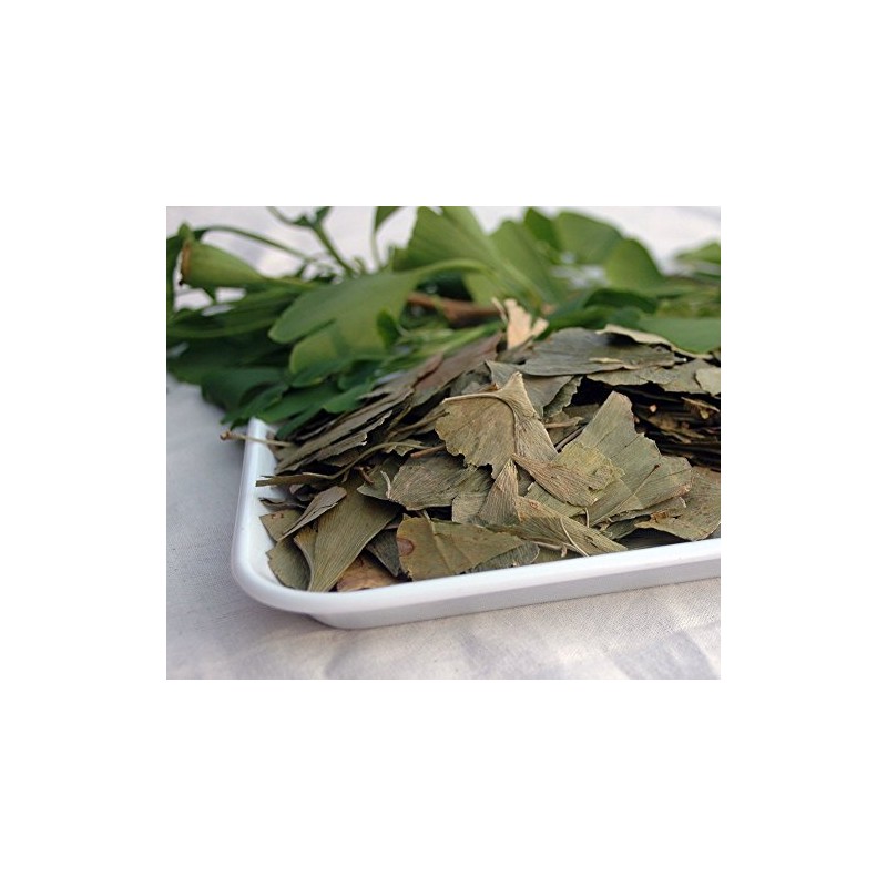 Naturix24 – Ginkgoblättertee, Ginkgoblätter ganz – 100g-Beutel