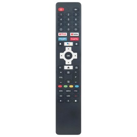 VINABTY Ersatz-Fernbedienung Suits for Dyon Smart AD-2 (32 40 42 43 55 Zoll) Android TV D800207 D800208 D800213 D800209 D800220