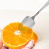 Housoutil Grapefruit Serrated Knife Spoons : 2pcs Stainless Steel Spoons
