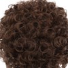 Amnenl Brown Curly Short Afro Wigs for Men California Cosplay