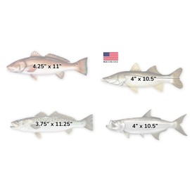 Salty Bones Florida Inshore Super Grand Slam - Tarpon, Speckled Trout, Snook and Redfish - Profile Sticker Collection - Made in The USA