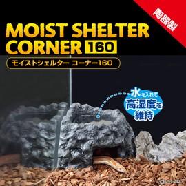 Exotera GEX EXOTERRA Moist Shelter, Corner 160, Reptile Shelter, Humidity Maintenance, Molting Support, Ceramic, Hideaway, Corner Type, Large Reservoir, W 6.3 x D 6.1 x H 4.5 inches (16 x 15.5 x 11.5