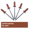 SKIR'CO Pack of 100 blind rivets painted 4.0 x 10