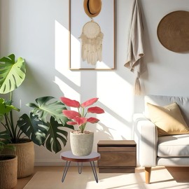 ESEHGS Plant Stand Indoor Outdoor, Wooden plant Stool, Mid Century Plant Stand for Indoor Plants, Wood Modern Plant Holder Rattan Flower, Low Short Boho Rustic Planter Stand Fit 5-15 Inch Pot(M)