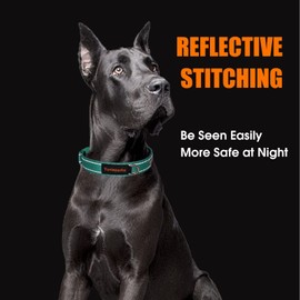 Yunleparks Neoprene Padded Dog Collar,Nylon Dog Collar for Small Medium Large Dogs,Heavy Duty Dog Collar with Metal Buckle,Adjustable Reflective Dog Collar (Large, Teal)