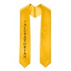GradPlaza Embroidered Salutatorian Graduation Stole Sash 60'' Long Adults Sash