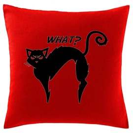 Hippowarehouse Black Cat, WHAT? Funny Printed bedroom accessory cushion cover case 41x41cm