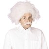 Bristol Novelty BW688 Einstein Wig, Grey, One Size