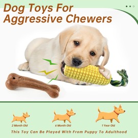 POPET Dog Chew Toys for Aggressive Chewers, Indestructible Tough Durable Squeaky Interactive Dog Toys - Corn Stick & Nylon Bone Combo for Small, Medium, Large Breed Dogs