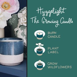 The Growing Candle, from Flame to Flower, Coffee & Cream Scented, Non-Toxic, 100% Soy Wax, Indoor Wildflower Garden, Aromatherapy Gift for Women, 8.5oz, 45-50 Hr Burn Time, Willow