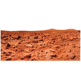 Wet Paint Printing + Design H69051 Mars Twin Peaks Space Curiosity Cardboard Cutout Standup