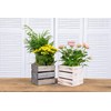 Wood Planter Box with Wine Crate Styled l 6 Inch