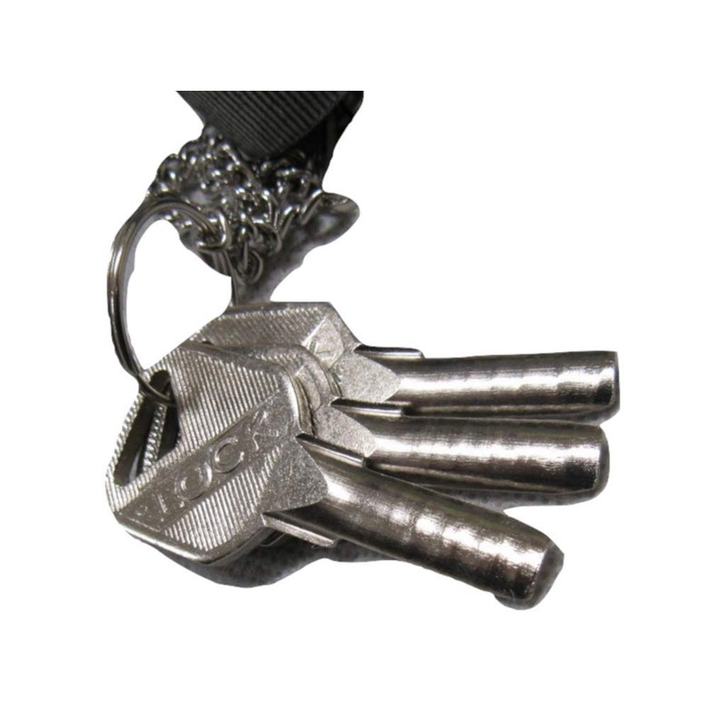 Heavy Duty Shipping Container Locks 230MM x 340MM x2 (Security