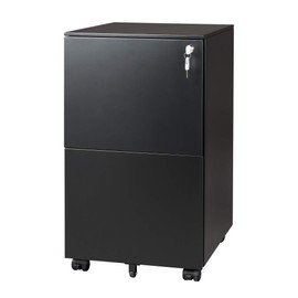 DEVAISE 2-Drawer Mobile File Cabinet with Lock, Commercial Vertical Cabinet in Black