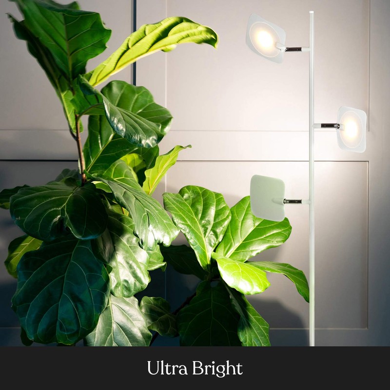 Brightech Tree Floor Lamp for Living Rooms & Offices, Dimmable