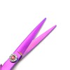 Professional Hair Cutting Scissors Set with Razor Comb Case,Hair cutting