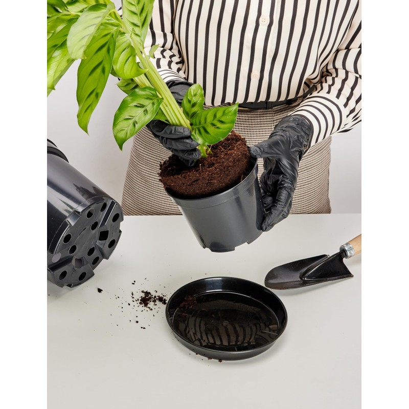 Garronda Flower Pot Saucer GD-0026 (Black, Diameter 17 cm, Height