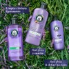 Herbal Essences Acondicionador Antifrizz Lavanda 240 ml
