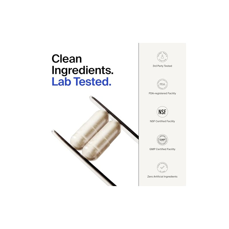 The Absorption Company Glicinato Magnesio 1000 Bisglicinato Liposomal Máxima Absorción