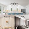 Lavendex LED 4 Light Track Lighting Kit, Black Ceiling Spotlights,