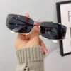 Dollger Y2K Retro Oval Sunglasses Women and Men Classic Design