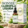 General - Winyel Gotas Clorofila Líquida Suplemento Natural