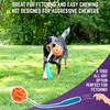 Chew King Fetch Balls Durable Natural Floating Dog Toy, Float