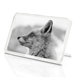 1 x Fridge Magnet - Wildfox Nature Wildlife #38710