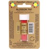 Sugarflair Blosom Tint Edible Dusting Powder - Ruby