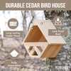 Punchau Cedar Open Mourning Dove Nesting Box for Outdoor -