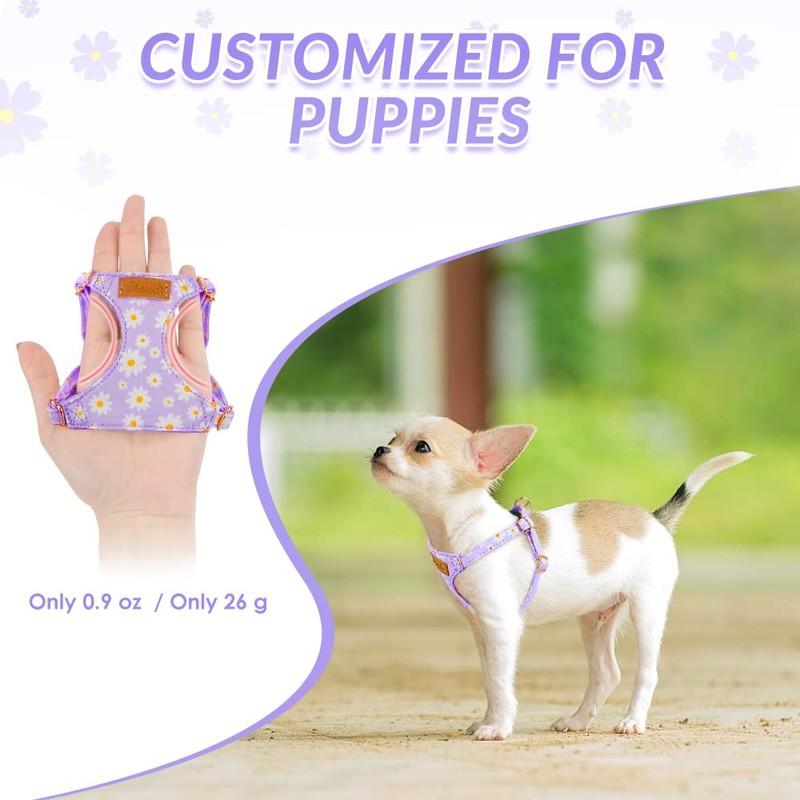 Lukovee Puppy Harness and Leash Set, No Pull Lightweight Soft