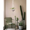 5pc. Macramé Plant Hangers