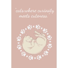 Daily Reflection Journal