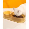 AvitaPaws Ceramic Pet Bowl Set - Whisker Friendly, No-Spill Elevated