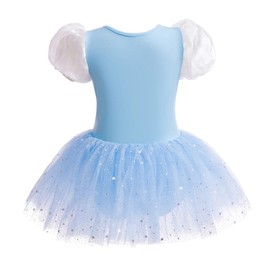 Dressy Daisy Princess Glass Slipper Ballet Leotards Tulle Tutu Dress for Little Girls Dance Costume Size 6 to 7